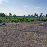 زمین باغی و کشاورزی چک و نقد و معاوضه با خودرو|فروش دفتر صنعتی، کشاورزی، تجاری|فرمهین, |دیوار