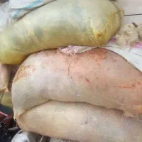 پشم میش کیلو ۱۵حراجه