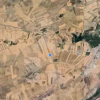 زمین زراعی دیم