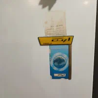 یخچال  سالم