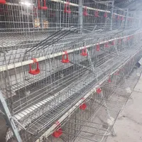 قفس مرغ تخگذار