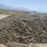 فروش کود مرغی گوشتی سالنی