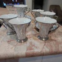 ظروف پذیرایی