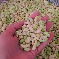 سفارش پاک کردن لوبیاوپاچ باقالا.بادمجان کبابی