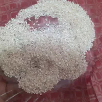 سلام برنج نمیدانه