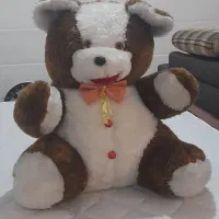 عروسک خرسی