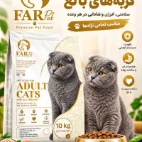 غذای خشک گربه بالغ
