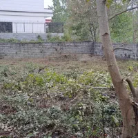 فروش زمین بافت  ۳۶۴ متری دوجمان محله تهرانی نشین|فروش زمین و ملک کلنگی|هچیرود, |دیوار