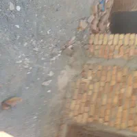 زمین مسکونی روستای باقراباد