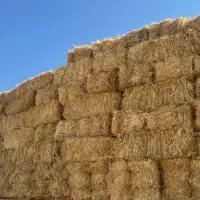 قالب کلش وکاه جو دیم پرس تمیز