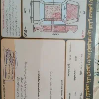 ۲۰۶ صندوق دار مدل ۹۱|خودرو سواری و وانت|اردبیل, |دیوار