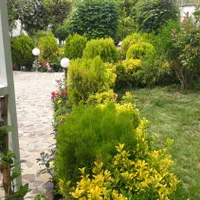 خدمات گل و گلدون در منزل ومحل کار|خدمات باغبانی و درختکاری|شیراز, زرهی|دیوار