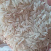 برنج طارم هاشمی درجه یک در حد بوجار|خوردنی و آشامیدنی|فریدون‌کنار, |دیوار