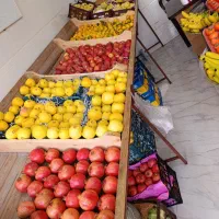 ویترین میوه فروشی|فروشگاه و مغازه|رشت, یخسازی|دیوار