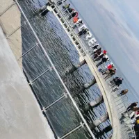 تور وان گروهی شب یلدا|تور و چارتر|ارومیه, |دیوار