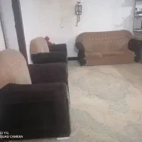 معاوضه فقط باپرنده مرغ مینا یاعروس هلندی