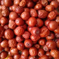 عناب|خوردنی و آشامیدنی|نجف‌آباد, امام خمینی|دیوار