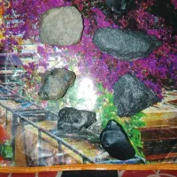 شهاب سنگ|کلکسیون اشیاء عتیقه|بم, |دیوار