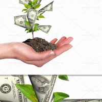 همکاری( سرمایه شمارادر6ماه دوبرابرمیکنم تضمینی)