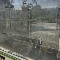 یخچال ویترینی|یخچال و فریزر|بردسکن, |دیوار