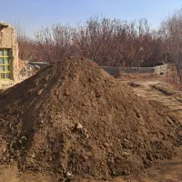 کود گوسفندی