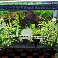 اکواریم فول لوازم