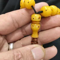 تسبی چهارخال المان استخوانی بی نظیربکربکرگاوصندوقی