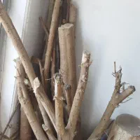 فروش تعدادی کنده درخت مخصوص کافه ها و رستوران ها