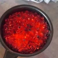 کربن پوست پسته