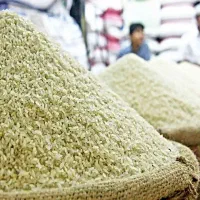 برنج هاشمی ممتاز