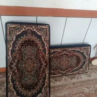 ۲جفت پشتی نووسالم