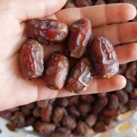 خرما‌ سعمران|حراج|اهواز, پردیس دو|دیوار