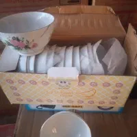 پیاله و بشقاب چینی|ظروف سرو و پذیرایی|تهران, شکوفه (عبدل آباد)|دیوار