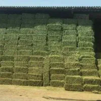 فروش پرس علوفه یونجه خشک