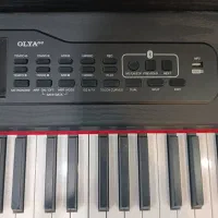 فروش پیانو دیجیتال برند feurich|پیانو، کیبورد، آکاردئون|فردیس, فردیس|دیوار