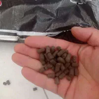 کود پلت مرغ  مخصوص شالی