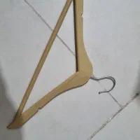 چوبکار،رگال دیواری،تیله‌ای