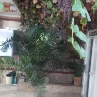 سه طبقه،خوش جای،اشکاوند