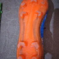 کفش فوتبال|کیف، کفش، کمربند|الوند, |دیوار