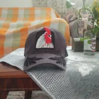 کلاه گورین ارجینال  قیمت ۳۵۰۰