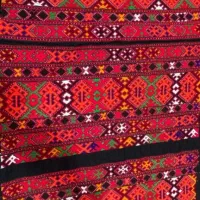 زی استین
