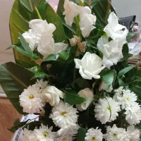 اجاره-بازار-گل-و-گیاه