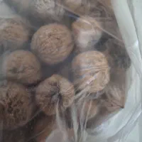 گردوی امساله ملایر