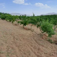 فروش چهار سهام طرح یک هوره گاستارا|فروش دفتر صنعتی، کشاورزی، تجاری|زاینده رود, |دیوار