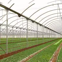 گلخانه تکمیل