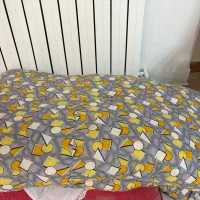 دوشک خواب و دو عددبالشت پر و یک پتوی تکنفره