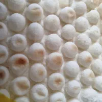 نان لواش صنعتی کُردزار با سیب سلامت بهداشتی|خوردنی و آشامیدنی|تهران, امیریه|دیوار