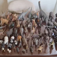 کلکسیون حیوانات