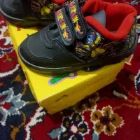 خرگوشی نو قیمت مناسب