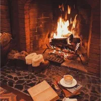 تعمیر و سرویس فوق تخصصی بخاری گازی و  شومینه